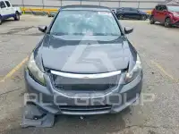 2011 Honda Accord photo