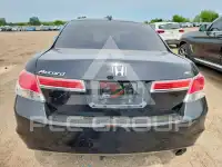 2011 Honda Accord фото
