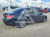2011 Honda Accord photo