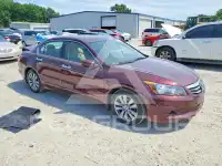 2011 Honda Accord фото