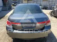 2011 Honda Accord фото