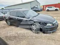 2011 Honda Accord фото