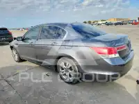 2011 Honda Accord фото