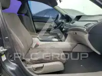 2011 Honda Accord photo