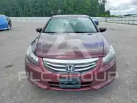 2011 Honda Accord photo