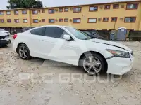 2011 Honda Accord photo