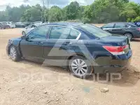 2011 Honda Accord фото