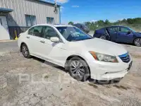 2011 Honda Accord photo