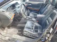 2011 Honda Accord photo