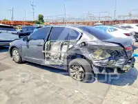 2011 Honda Accord photo