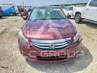 2011 Honda Accord photo