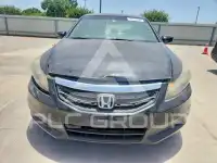 2011 Honda Accord photo