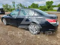 2011 Honda Accord photo