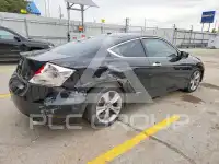 2011 Honda Accord photo