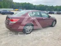 2011 Honda Accord фото
