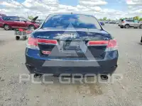 2011 Honda Accord photo