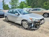 2011 Honda Accord photo