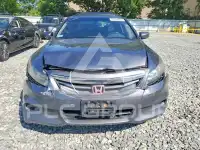 2011 Honda Accord photo