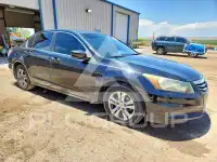 2011 Honda Accord photo