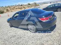 2011 Honda Accord photo