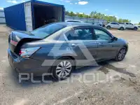 2011 Honda Accord photo