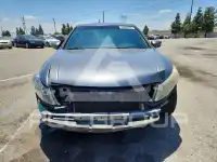 2011 Honda Accord photo
