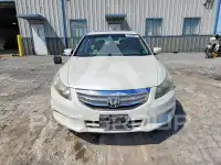 2011 Honda Accord photo