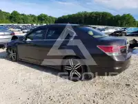 2011 Honda Accord photo