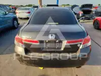 2011 Honda Accord photo
