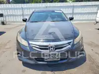 2011 Honda Accord photo