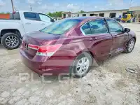 2011 Honda Accord photo