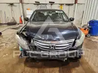 2011 Honda Accord фото