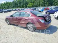 2011 Honda Accord фото