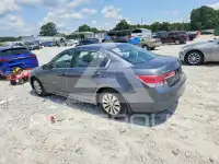 2011 Honda Accord фото
