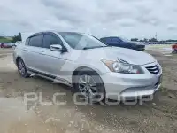 2011 Honda Accord photo