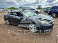 2011 Honda Accord photo