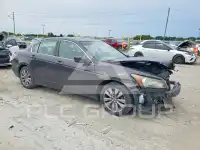 2011 Honda Accord фото