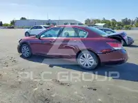 2011 Honda Accord фото