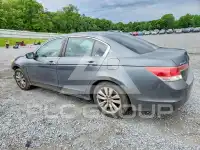 2011 Honda Accord фото