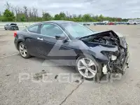 2011 Honda Accord photo