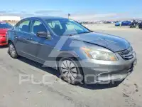 2011 Honda Accord photo