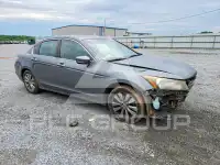 2011 Honda Accord фото