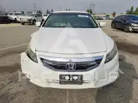 2011 Honda Accord photo