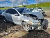 2011 Honda Accord photo