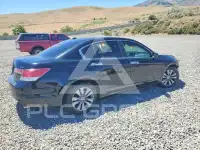 2011 Honda Accord photo