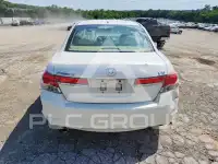 2011 Honda Accord photo