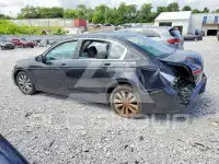 2011 Honda Accord photo