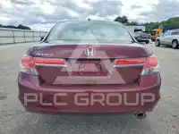 2011 Honda Accord photo