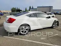 2011 Honda Accord photo