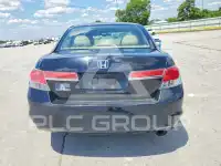 2011 Honda Accord photo